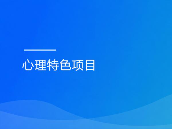 心理特色服务项目